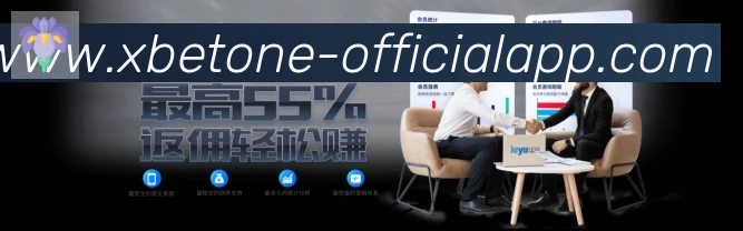 未来规划